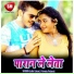 Guddu Gulsan