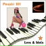 Projekt 101