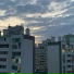 TYVS