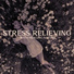Stress Relief Calm Oasis