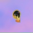 KAINA feat. Sen Morimoto