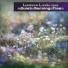 Luminous Landscapes