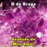 H do Brega