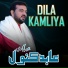 Abid Kanwal