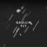 GAULLIN