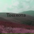 Неботошнит