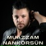 Armağan Arslan