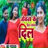 Suraj Sawariya