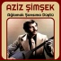 Aziz Şimşek