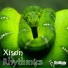 Xison