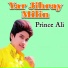 prince Ali
