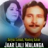 Baryali Samadi, Mashoq Sultan