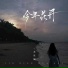 苏星婕