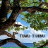 Teiva LC
