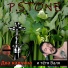 P.Stone