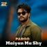 Paroo