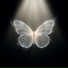 ANIMA