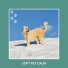 Relaxing Dog Music