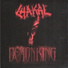 Chakal