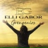Elli Gabor