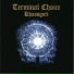 Terminal Choice