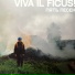 Viva il ficus!