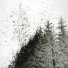 coldcrime