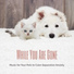 Reiki for Animals
