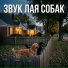 Звук лая собаки, Лай собаки, Собачья музыка