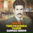 Sarmad Sindhi
