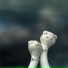 фарфоровые коты
