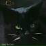 C.C. Catch