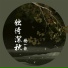 杨一歌