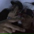 Dani, Vinchi, Stward