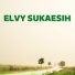 Elvy Sukaesih