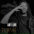 Tupaï