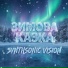 SynthSonic Vision