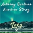 Anthony Spallino, Aurelien Stireg