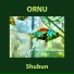 Ornu