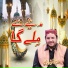 Shahbaaz Qamar Fareedi