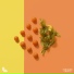 Dance Fruits Music
