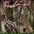 lost Emora