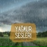 Meditatif Doğa Sesleri