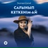 Эльмира Шонай