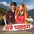 Birendra Kumar Arya