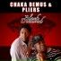 Chaka Demus & Pliers