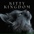 Kitten Music