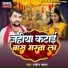 Tigar samrat