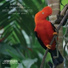 INKATERRA