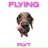 PLVT